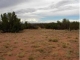 Sec 7 Chevelon Acres Heber, AZ 85928 - Image 6714913