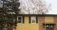 1417 S Chestnut Drive Mount Prospect, IL 60056 - Image 6791397