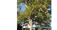 Unit 10a - 2575 Peachtree Road Ne Atlanta, GA 30305 - Image 6833857