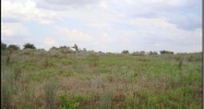 Lot 3 Block 3 River Springs Randlett, OK 73562 - Image 6844774