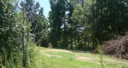 lot 22 county rd 658 Hanceville, AL 35077 - Image 6891570