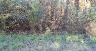 Lot 36 Althea Loop Alexander City, AL 35010 - Image 6930691