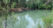 0 Bazemore Mill Rd Gordon, AL 36343 - Image 7056291