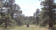 826 Piney Ridge Wy Monument, CO 80132 - Image 7102288