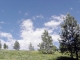 Lot 37 Pilgrim Ridge Road White Bird, ID 83554 - Image 7228256