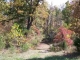 Lot 36 Oak Creek Drive Dr Gepp, AR 72538 - Image 7241157