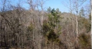 CR 501 30 acres Berryville, AR 72616 - Image 7430617