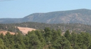 Lot 6B Valley Rd Payson, AZ 85541 - Image 7435971