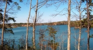 Lot 7 County Road 2021 Crane Hill, AL 35053 - Image 7476919