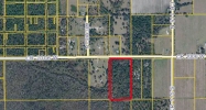 2315 CR 2006 W Bunnell, FL 32110 - Image 7491155