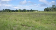 LOT 15 SE 143 CT Morriston, FL 32668 - Image 7492947