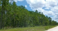 00 NE 24th Loop High Springs, FL 32643 - Image 7493142