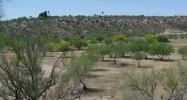 0 N GRANTHAM RANCH Road Wickenburg, AZ 85390 - Image 7496574