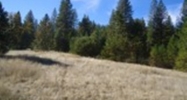 5.3 Acres Old Hwy 120 Groveland, CA 95321 - Image 7497247