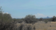 153.5 W ACRES Road Wickenburg, AZ 85390 - Image 7512412