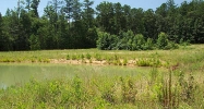 0 Black Road White, GA 30184 - Image 7565189