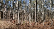 0 Baskin Road Temple, GA 30179 - Image 7582647