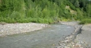 L56 Cache Creek Recreational Trapper Creek, AK 99683 - Image 7585889