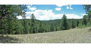 597 Evergreen Rd Black Hawk, CO 80422 - Image 7646405