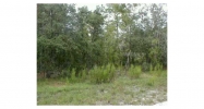 0 Smallman Dade City, FL 33523 - Image 7728687