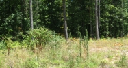 Tract C CR 7629 Brookland, AR 72417 - Image 7824129