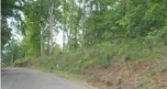 000 Riverfront Road Lot 22 Rogersville, AL 35652 - Image 7859940