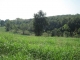 Lot 10, Chay Circle Cedarville, AR 72932 - Image 7976088