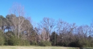 East Street Lot 105 Moulton, AL 35650 - Image 7997546