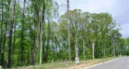 Lot 15 West Shores Benton, AR 72019 - Image 7999214