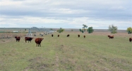 HWY 85 Yoder, WY 82244 - Image 8043626