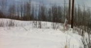 12047 W Hollywood Boulevard Big Lake, AK 99652 - Image 8061992