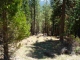 2440 Beaver Road Clio, CA 96106 - Image 8123780