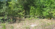 LOT 1 NE 48th Court High Springs, FL 32643 - Image 8123925