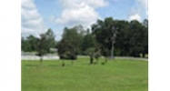 TBD NW 257 Drive High Springs, FL 32643 - Image 8123929