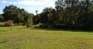 19705 WILD WATER CV Lutz, FL 33559 - Image 8136175