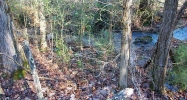 0 Ringers Road Fairmount, GA 30139 - Image 8153913