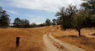 30771 Morgan Rd Prather, CA 93651 - Image 8171295