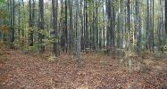 0 Corner Road Powder Springs, GA 30127 - Image 8174169