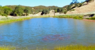 3300 Scotts Creek Rd Lakeport, CA 95453 - Image 8179035