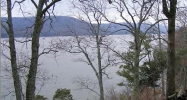 Lot 60 - The Promenade Scottsboro, AL 35769 - Image 8209453