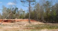 Lot 1 County Road 539 Enterprise, AL 36330 - Image 8216269