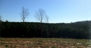 1 Reavis Mountain Road Ball Ground, GA 30107 - Image 8233386