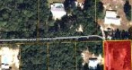 132 Cinnamon Dr Interlachen, FL 32148 - Image 8246122