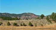 348 Raspberry Ln Monument, CO 80132 - Image 8269801