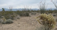 Lot 3037 Carmen Road Yucca, AZ 86438 - Image 8272161