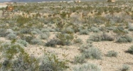 Lot 49 Roosevelt Rd Yucca, AZ 86438 - Image 8272162