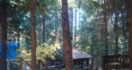 7701 Winding Way Grizzly Flats, CA 95636 - Image 8276764