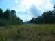 20 acres Off Hwy 164 Hagarville, AR 72839 - Image 8300648