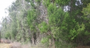 Lot 3 NE 51st Place Williston, FL 32696 - Image 8313361