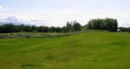 L2 Scott Road Palmer, AK 99645 - Image 8335120